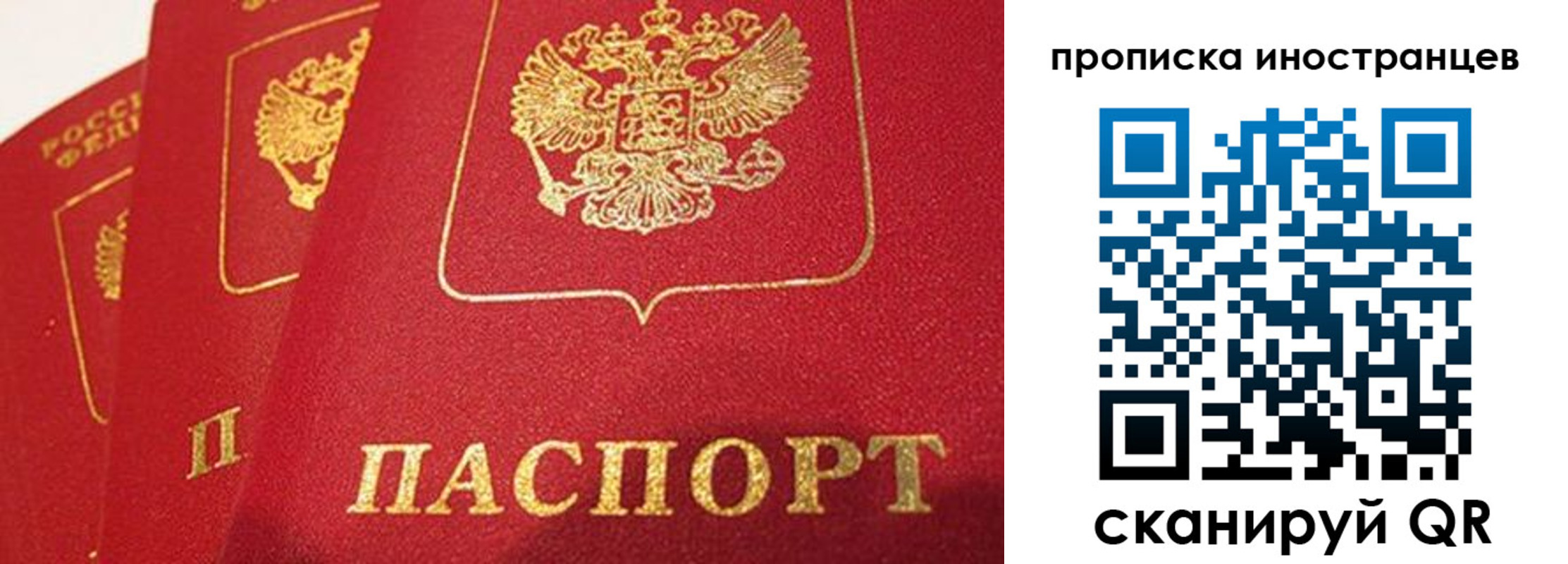 прописка поиск в Новоалександровске